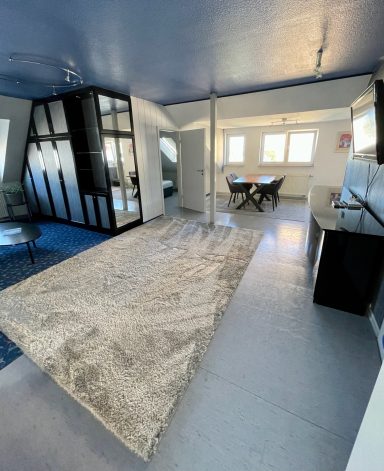 Offene Wohnung mit modernem Interieur, heller Atmosphäre und großem Teppich.