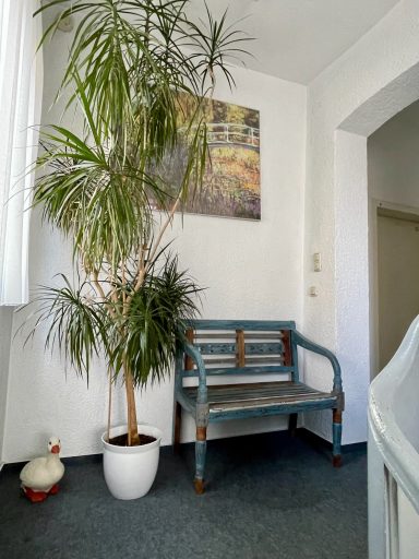 Blauer Holzbank vor einem großen Topf mit Pflanze, Kunstwerk an der Wand.